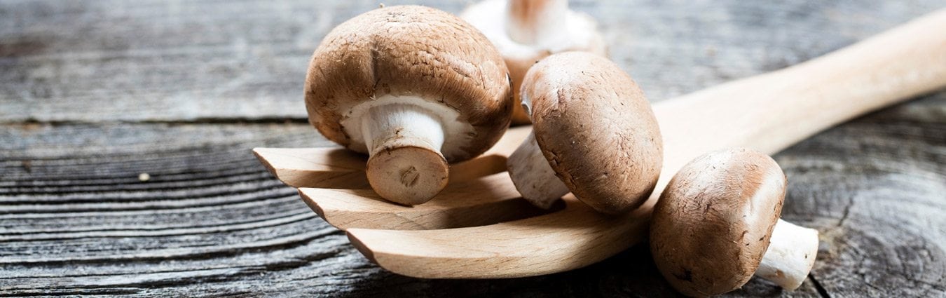 Champignon Pour Bebe Recettes A Base De Champignon Bledina