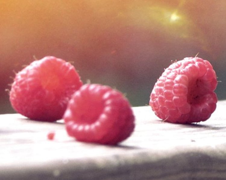 Framboise Pour Bebe Recettes A Base De Framboise Bledina